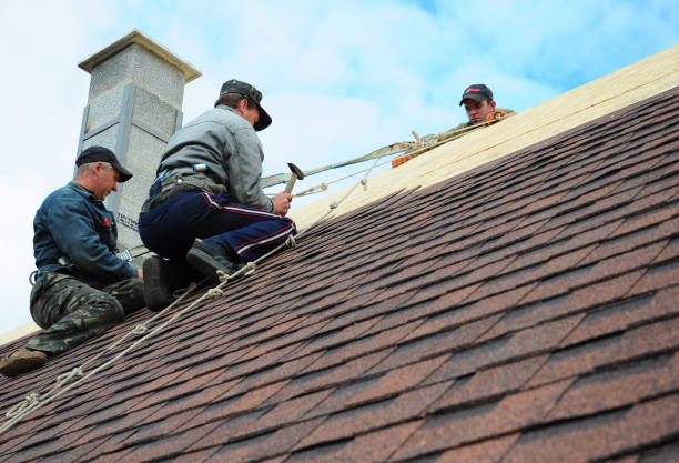 Best Residential Roofing Contractor  in Shorewood, IL
